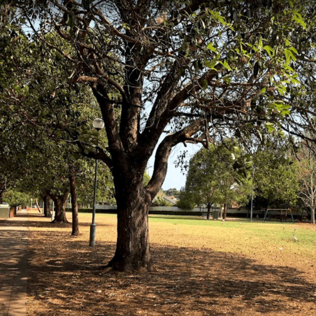 NDIS Respite Care & SIL Home