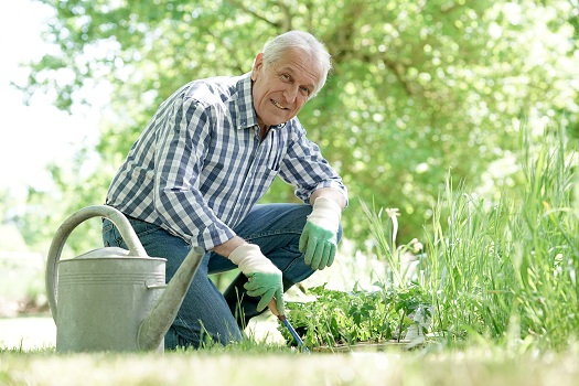 why you should work in disability support HERO